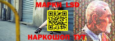 apvp Можга