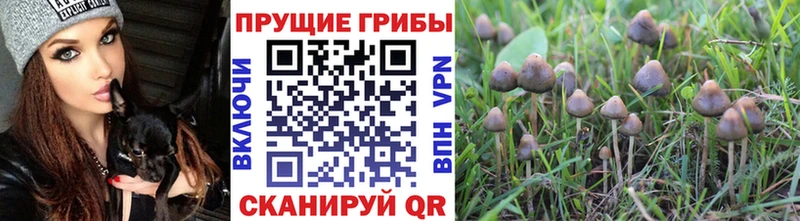 Псилоцибиновые грибы ЛСД Набережные Челны