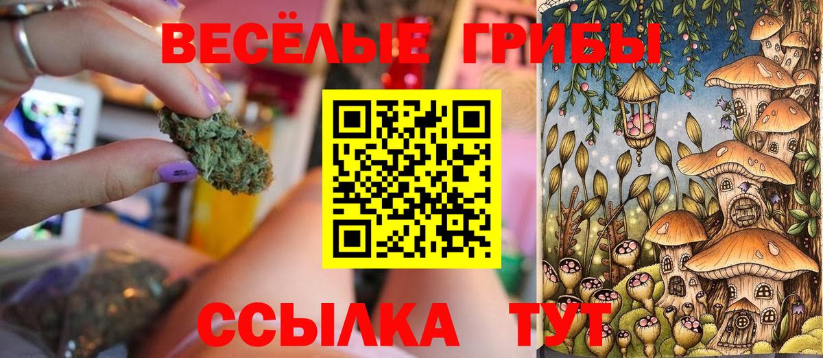 Галлюциногенные грибы GOLDEN TEACHER  Галлюциногенные грибы мицелий  Набережные Челны  где купить наркоту  Вход с VPN 
