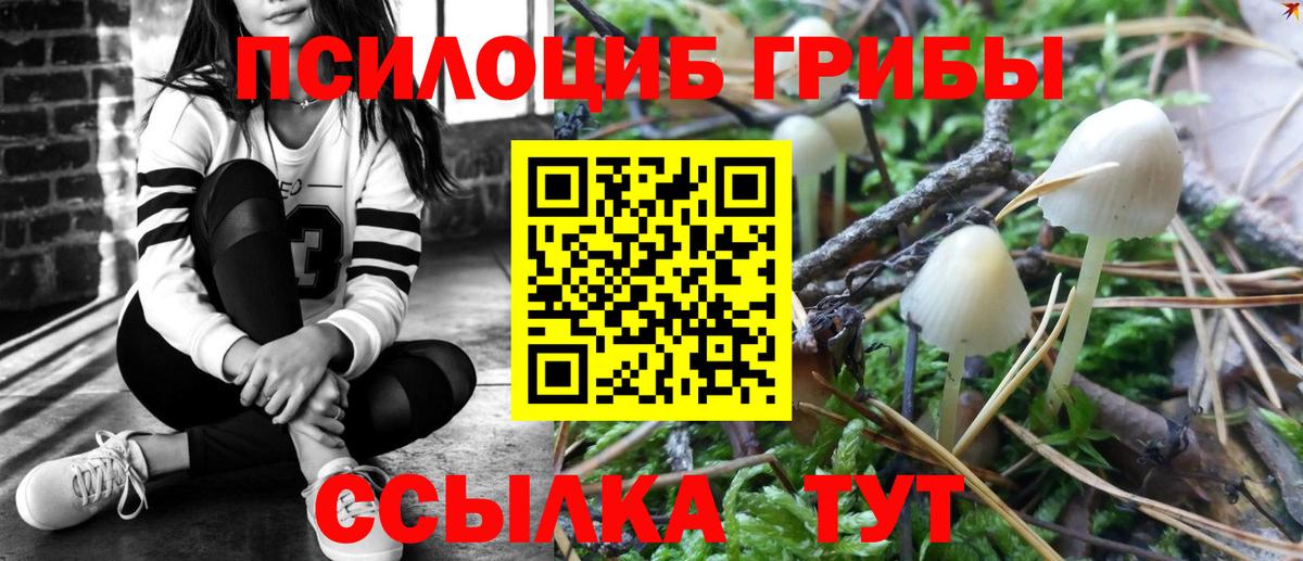 Галлюциногенные грибы мицелий Набережные Челны